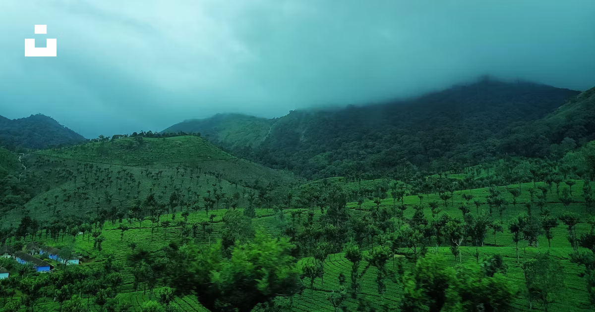 Valparai Hills